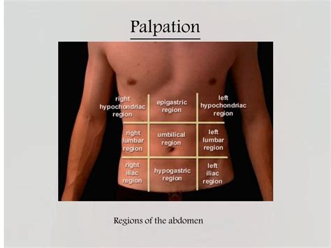 superficial palpation of abdomen